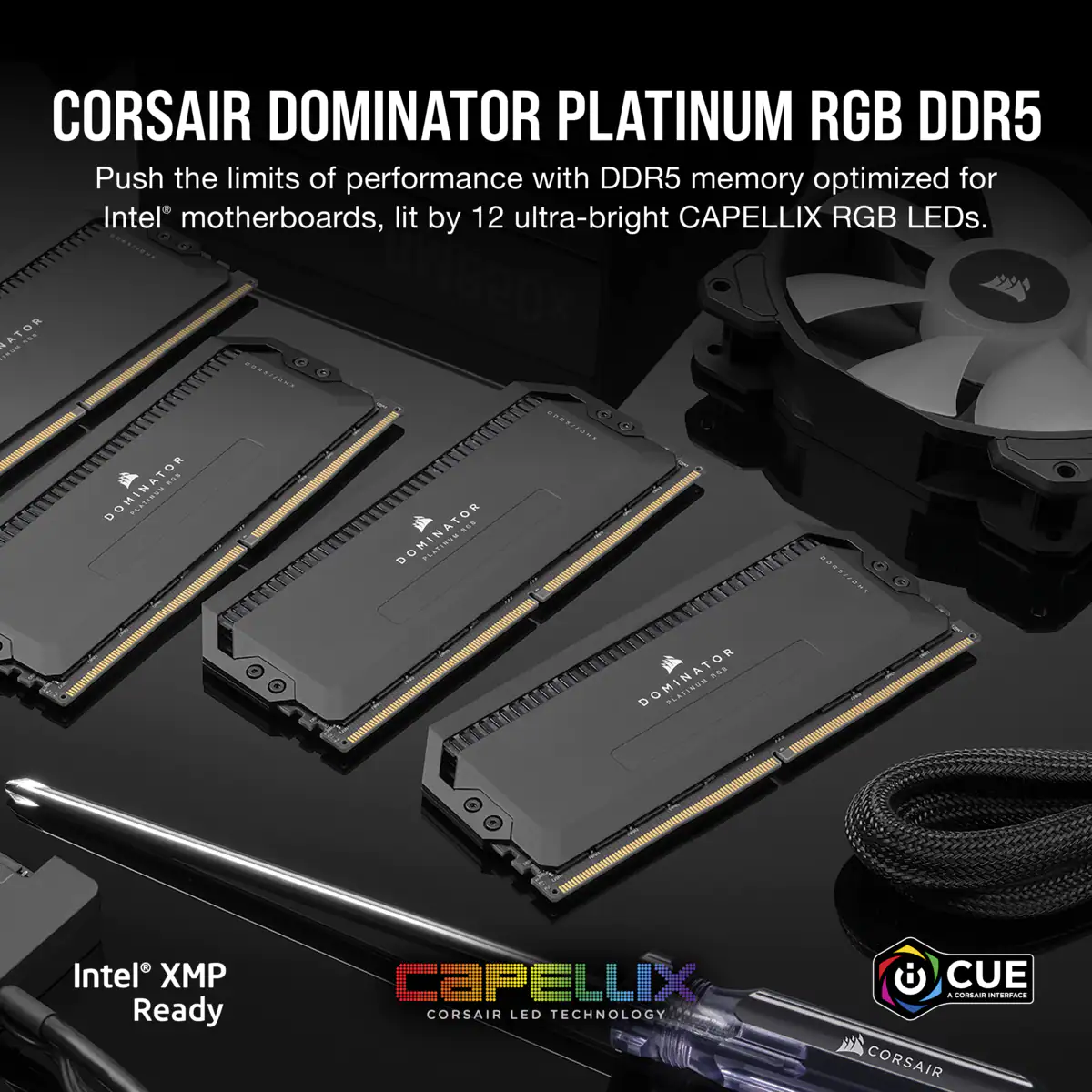 Corsair Dominator Platinum Rgb 64Gb Ddr5 Dram 5600Mhz Ram